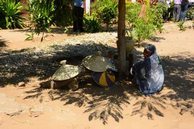 DSC_8354 (Large).JPG